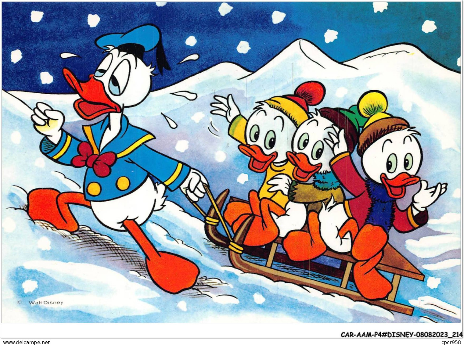 CAR-AAMP4-DISNEY-0399 -  Donald Et Ses Neveux Au Sky - N°1 - Disneyland