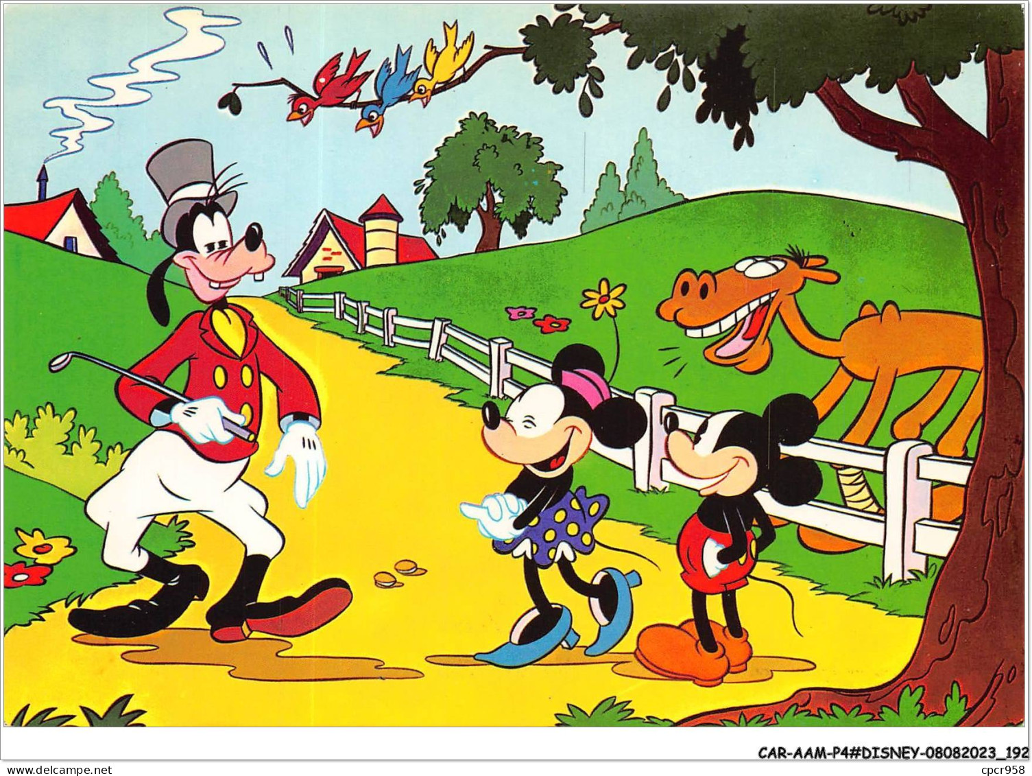 CAR-AAMP4-DISNEY-0388 - Mickey, Minnie Et Dingo - N°5 - Disneyland