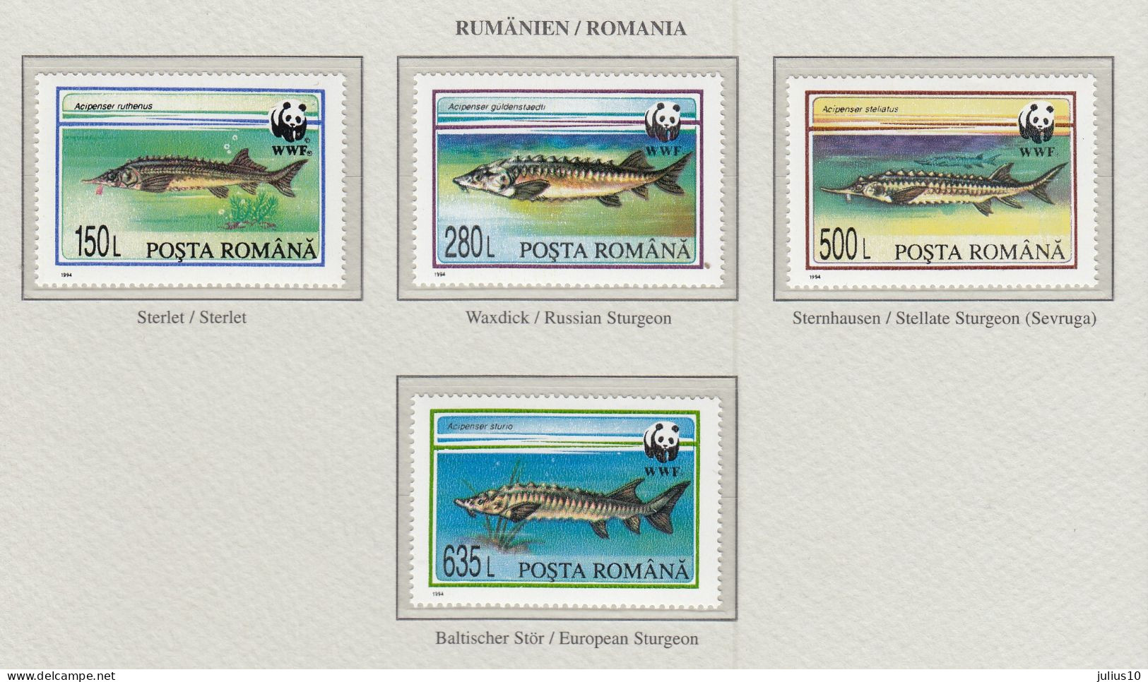 ROMANIA 1994 WWF Fish Sturgeons Mi 5034-5037 MNH(**) Fauna 519 - Poissons