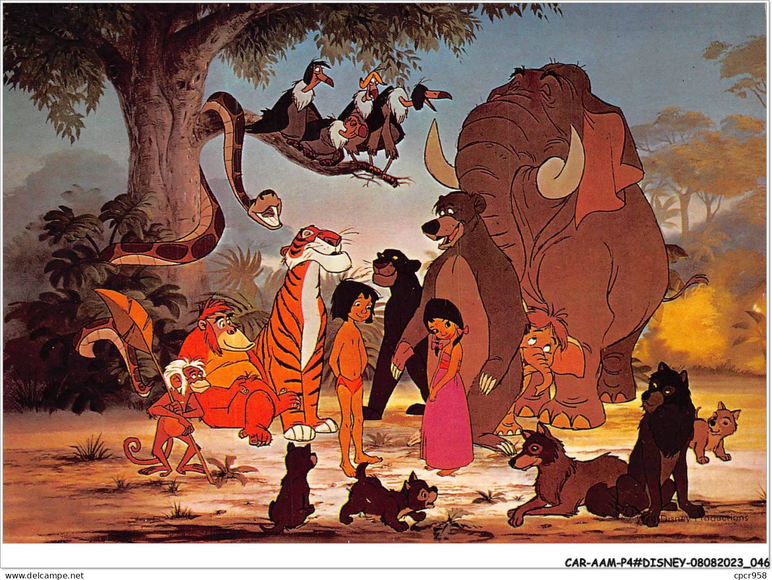 CAR-AAMP4-DISNEY-0315 - Mowgli Et Ses Amis - Le Livre De La Jungle - WD 8/44 - Disneyland