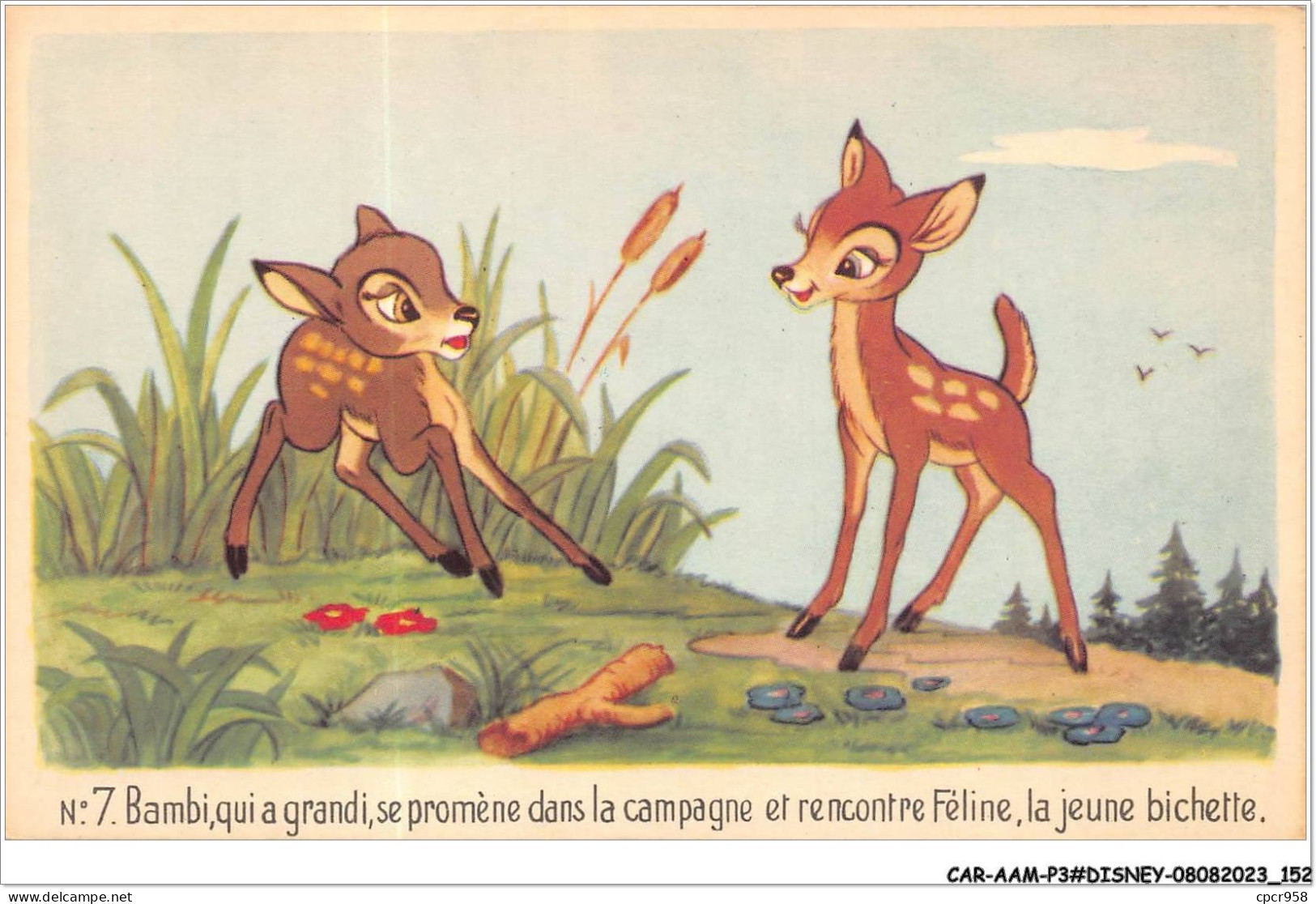 CAR-AAMP3-DISNEY-0286 - Bambi Qui Grandi Se Promene Dans La Campagne Et Rencontre Feline La Jeune Bichette - N°7 - Disneyland