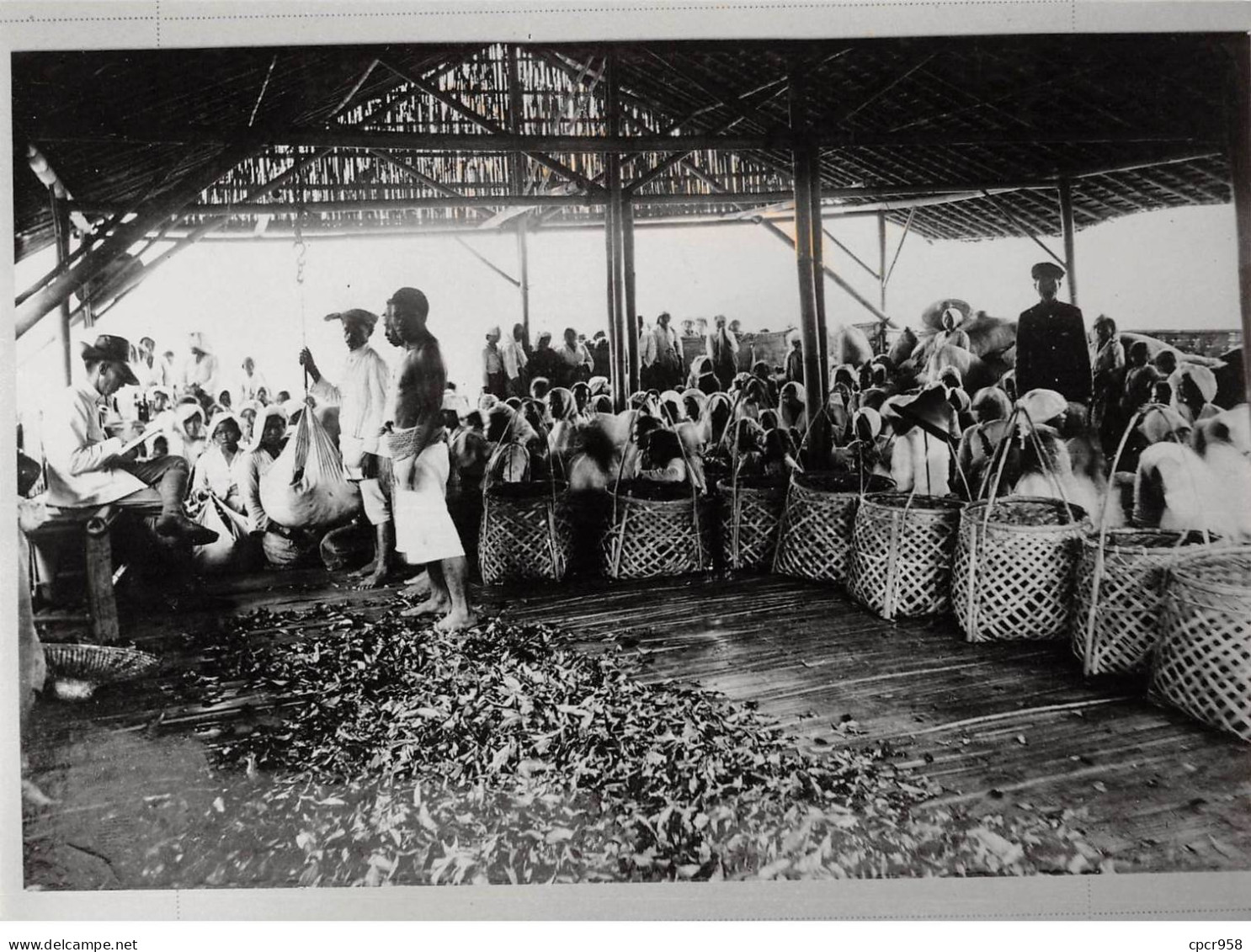 Photo De Presse.AM21128.24x18 Cm Environ.Indonesia.Thé Dans Lâentrepôt Où Les Cueilleurs Sont Installés - Lugares