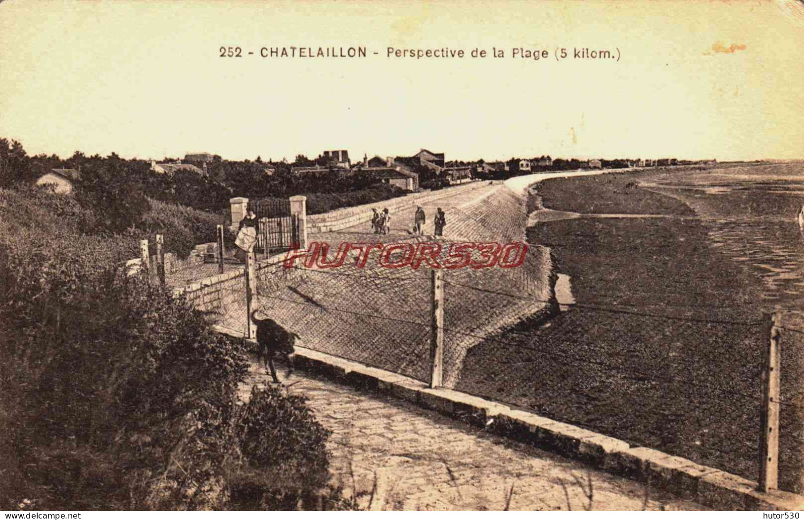 CPA CHATELAILLON PLAGE  - CHARENTE MARITIME - PERSPECTIVE DE LA PLAGE - Châtelaillon-Plage