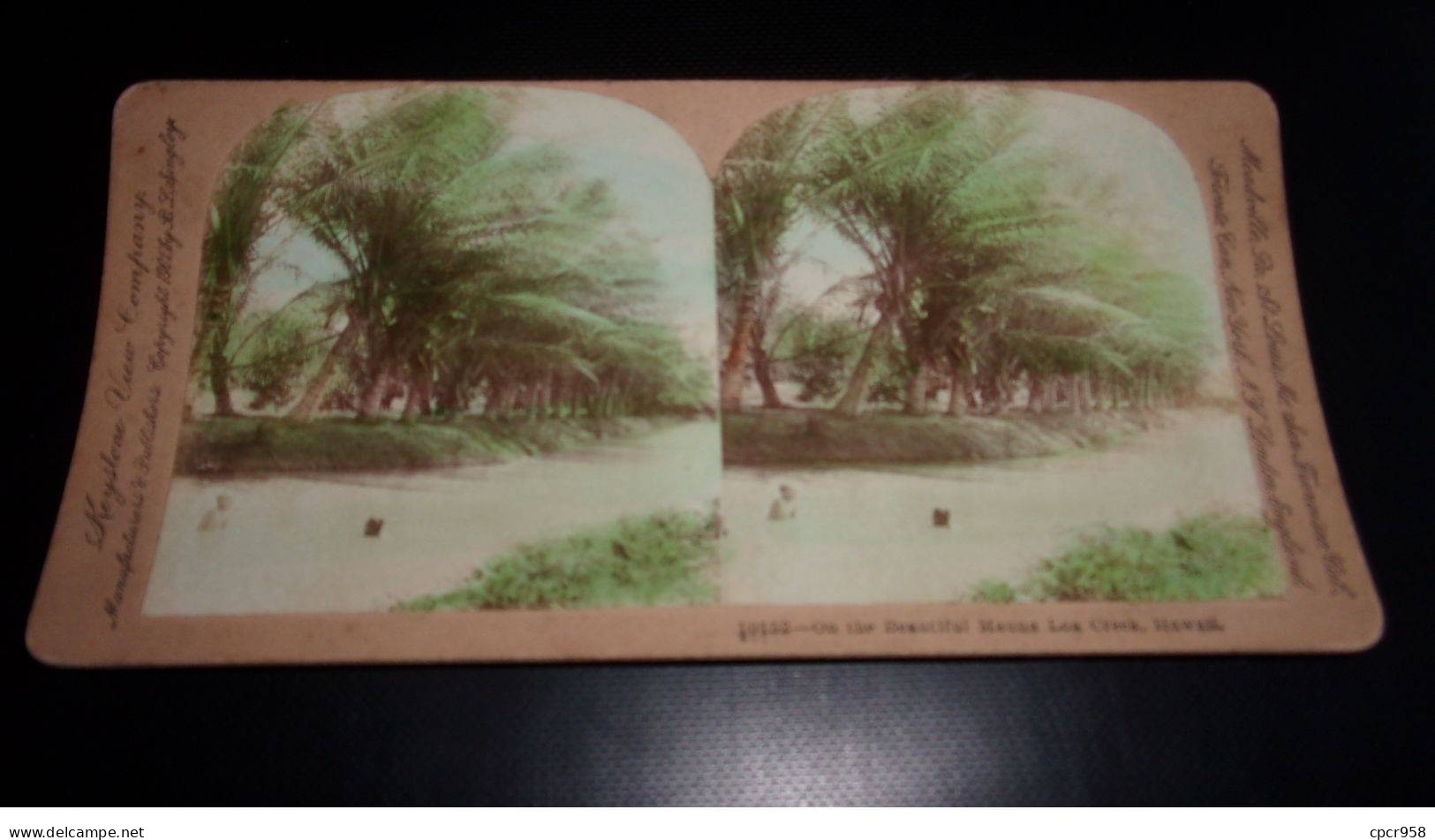 Photographie Sur Carton  . 2moi10422.1900 Environs.mauna Loa Creek Hawaii.18 X 09 Cm. - Stereo-Photographie