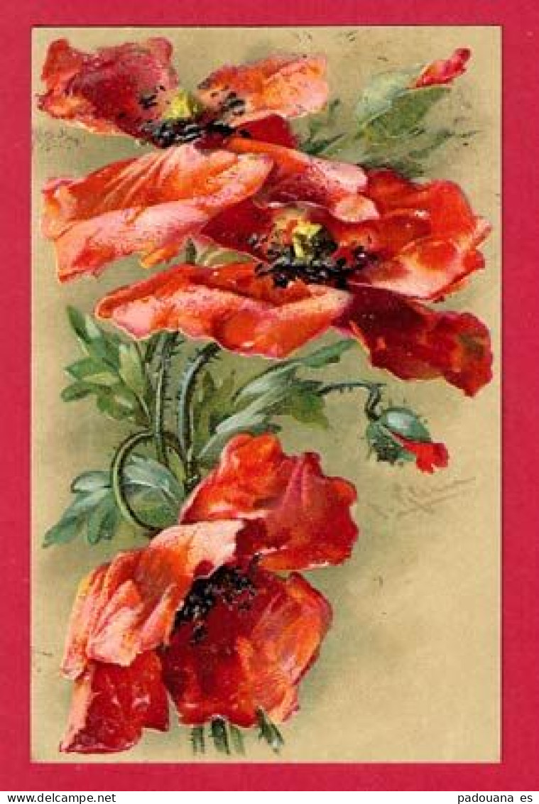 AF147 FLEURS COQUELICOTS SIGNE C.KLEIN SERIE 4047 CARTE GAUFREE - Klein, Catharina