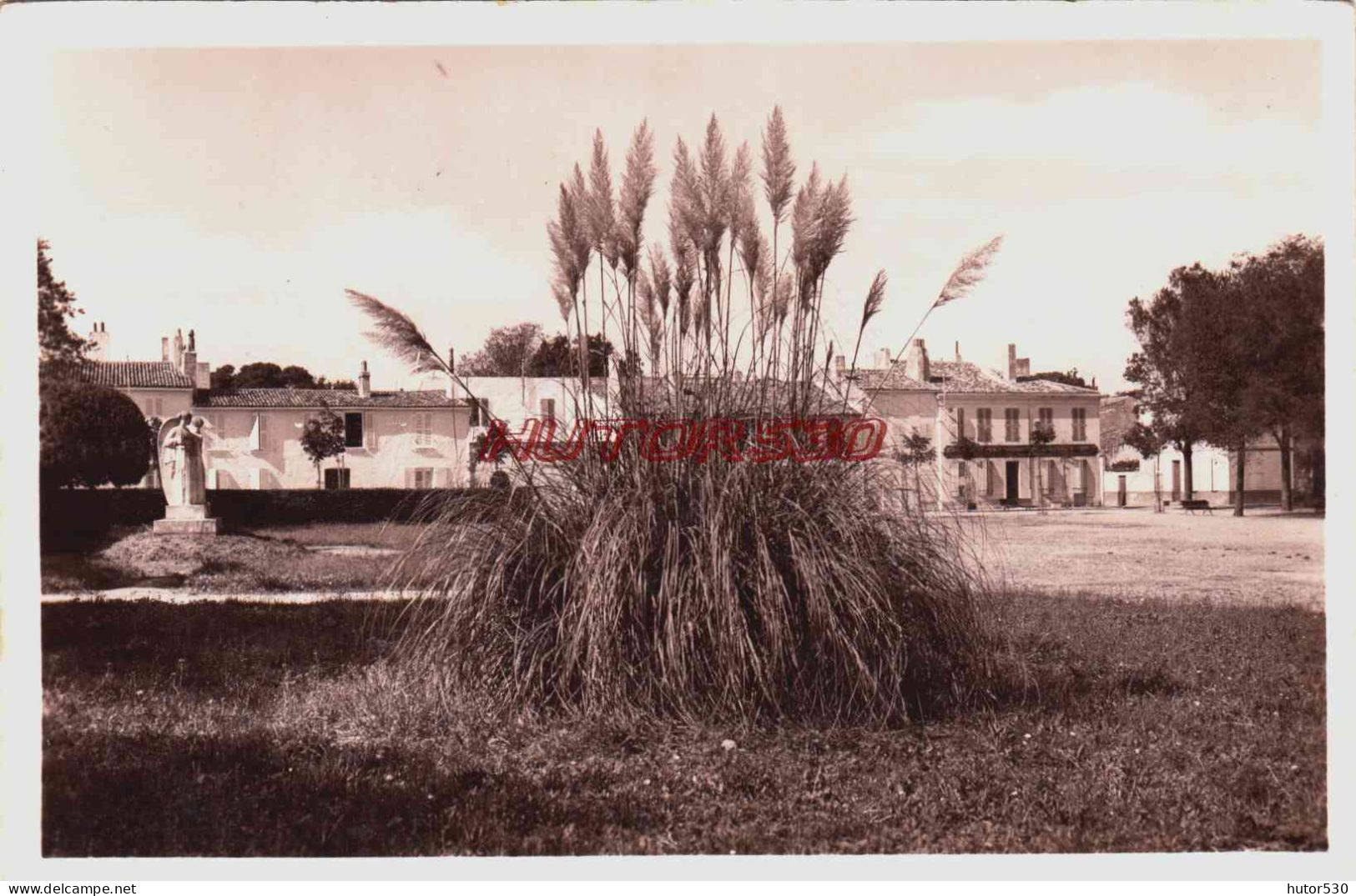 CPSM ILE DE RE - CHARENTE MARITIME - SAINT MARTIN - JARDIN DE LA PLACE DE LA REPUBLIQUE - Ile De Ré