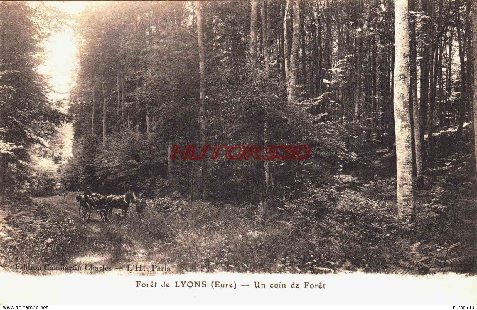 CPA LYONS LA FORET - EURE - LA FORET - Lyons-la-Forêt