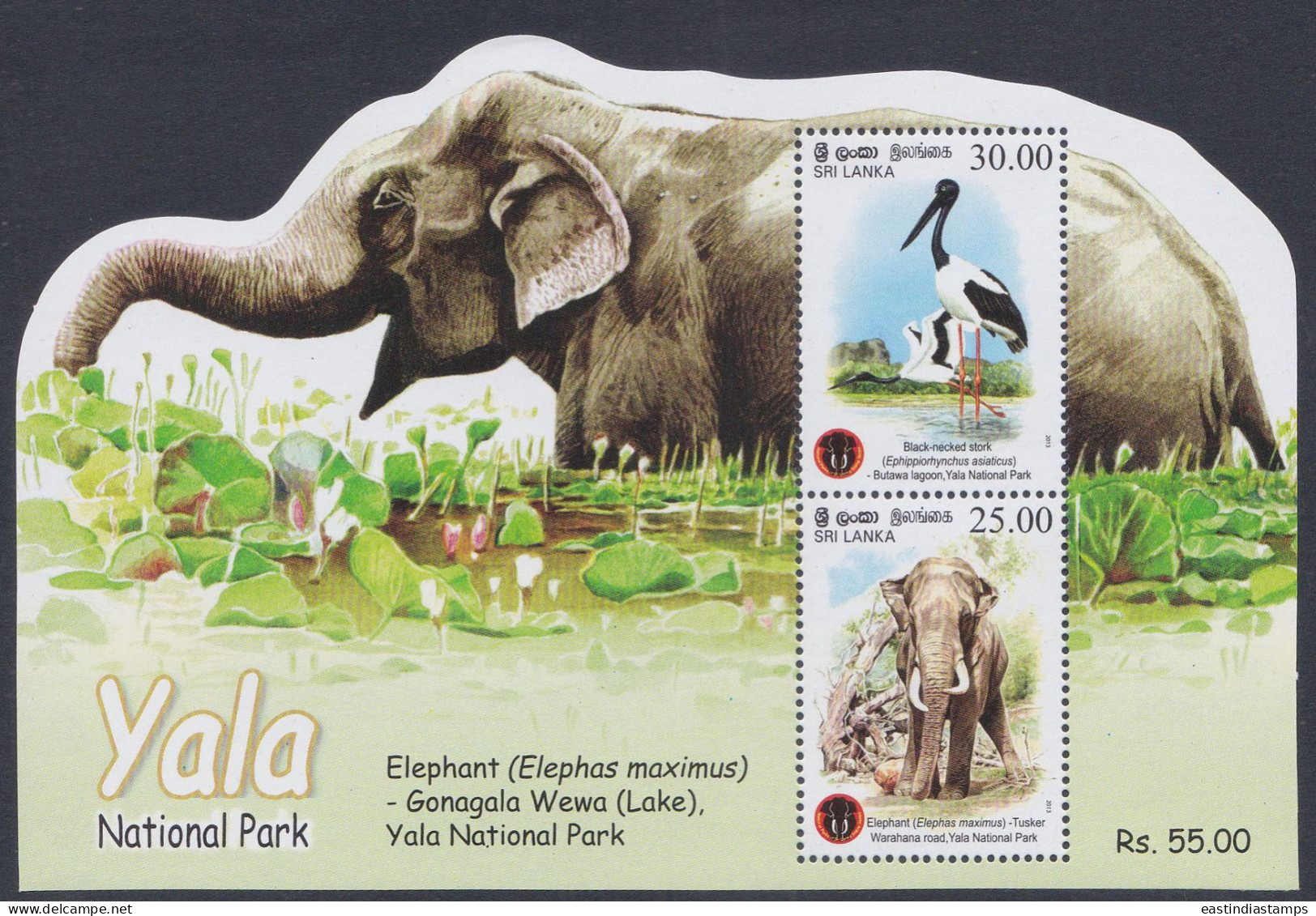 Sri Lanka 2013 MNH MS Yala National Park, Elephant, Stork, Bird, Birds, Wildlife, Wild Life, Animal, Miniature Sheet - Sri Lanka (Ceylon) (1948-...)