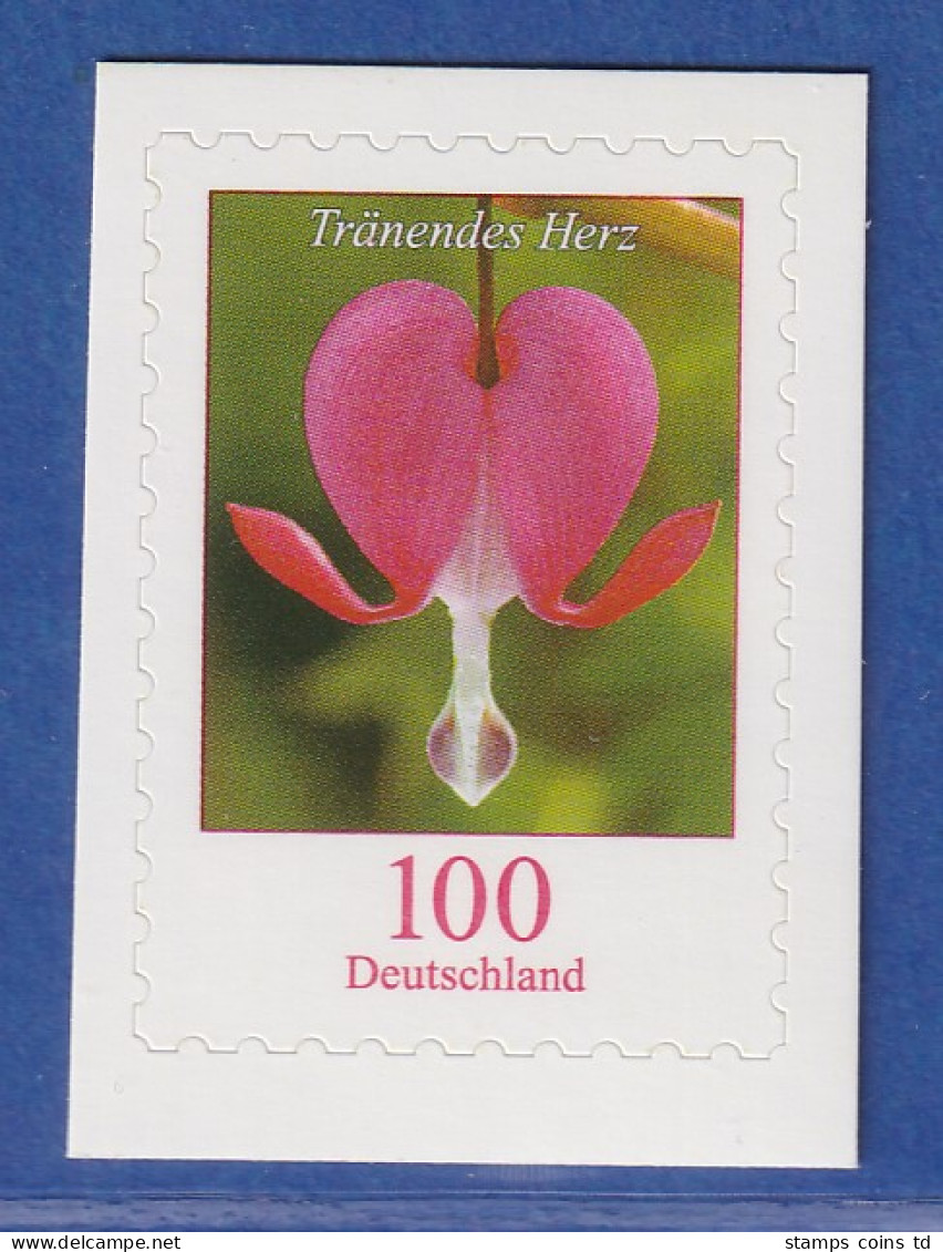 Bund 2013 Blumen: Tränendes Herz 100 Cent SELBSTKLEBEND Mi-Nr. 3034 ** - Altri & Non Classificati