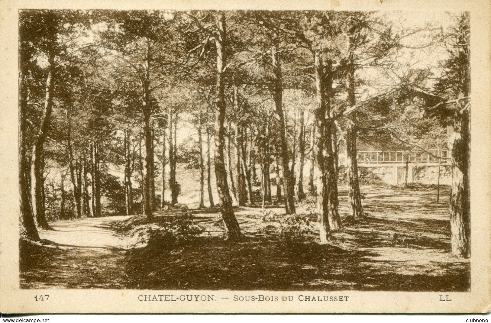 CPA -  CHATEL-GUYON - SOUS-BOIS DU CHALUSSET - Châtel-Guyon