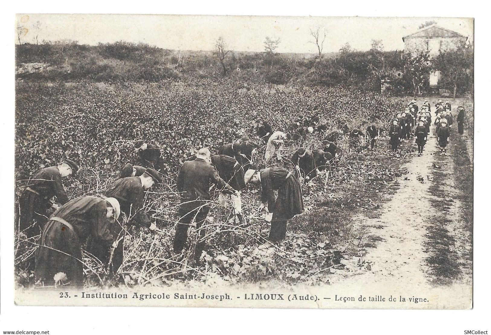 L380 - Limoux, Institution Agricole Saint Joseph, Leçon De Taille De La Vigne (555-1087) - (2) - Limoux