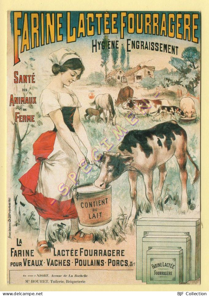 Vaches : FARINE LACTEE FOURAGERE (carte Publicitaire) (voir Scan Recto/verso) - Vaches