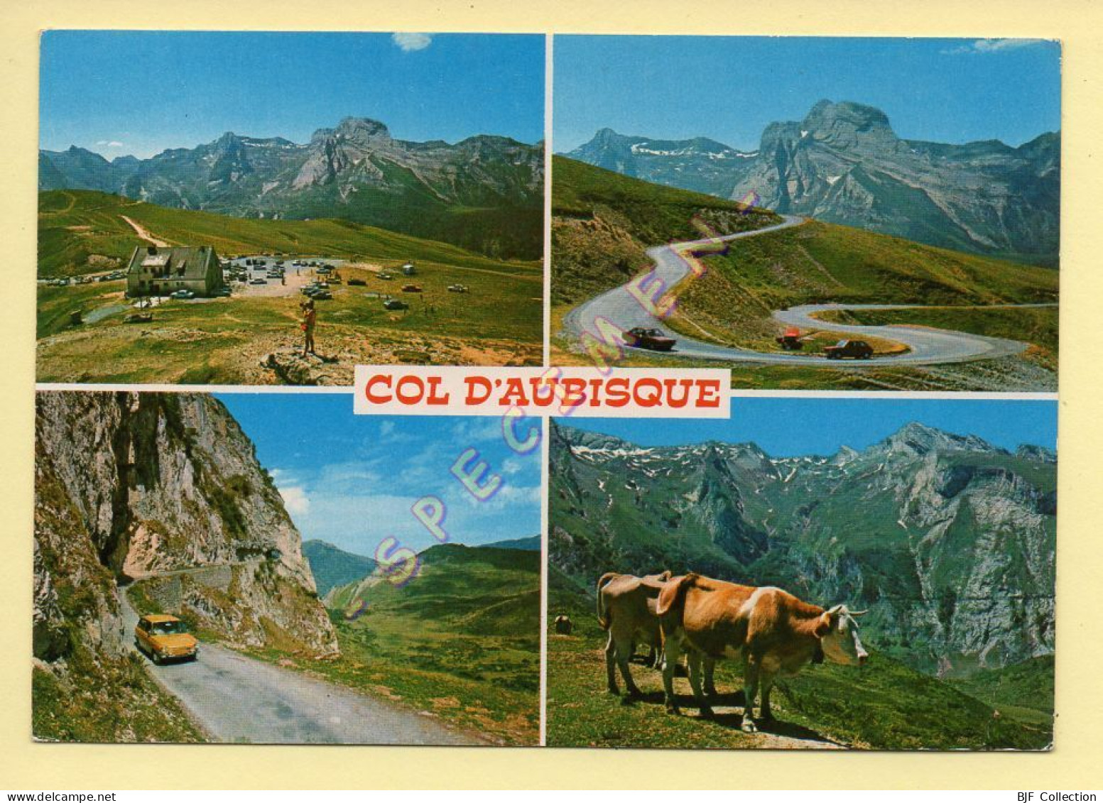 Vaches : Col D'Aubisque / Multivues (voir Scan Recto/verso) - Mucche