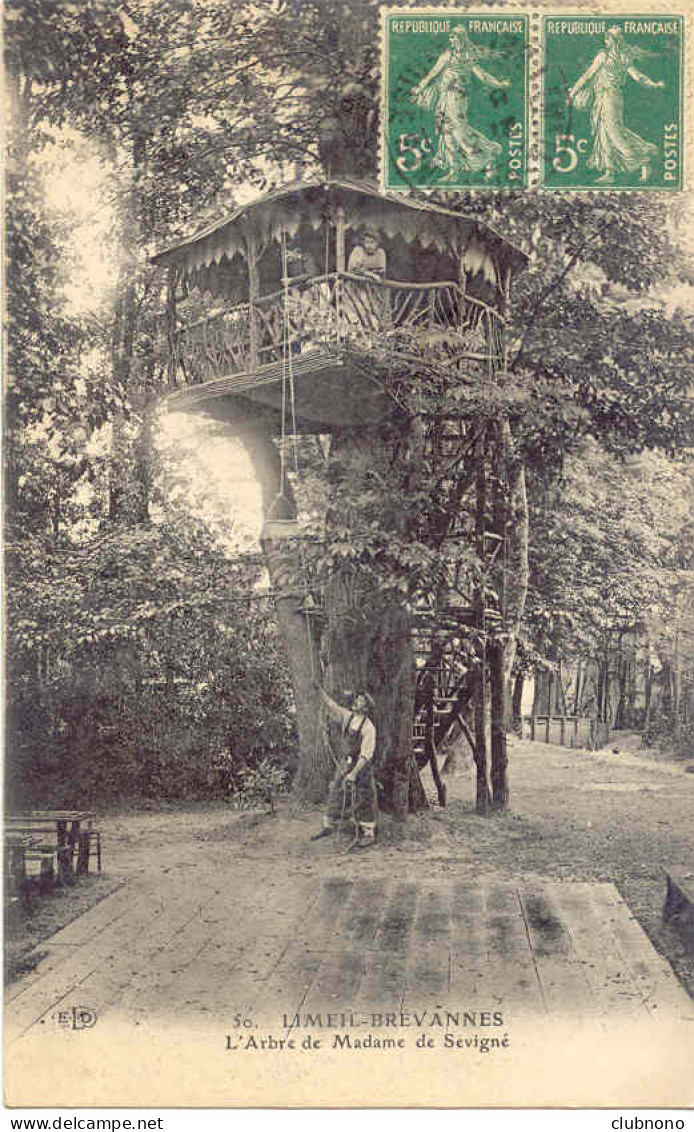 CPA - LIMEIL-BREVANNES - L'ARBRE DE MADAME DE SEVIGNE (CURIOSITE, A VOIR) - Limeil Brevannes