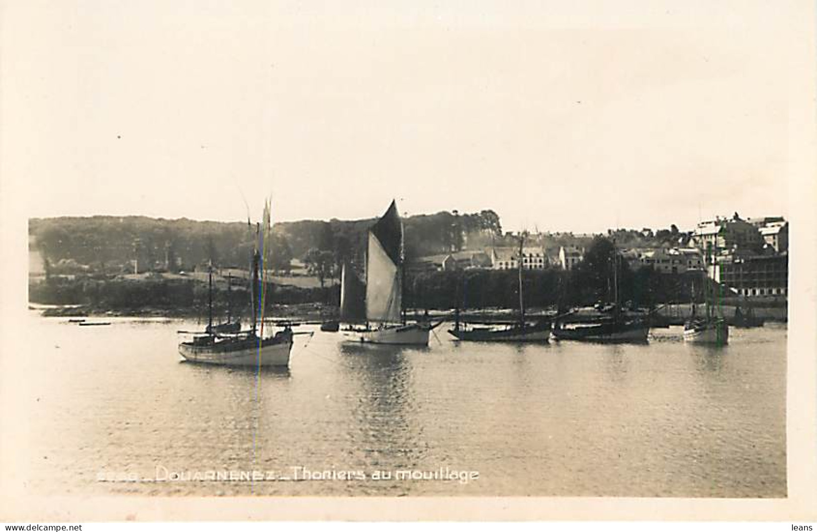 DOUARNENEZ - Thoniers Au Mouillage  - Douarnenez