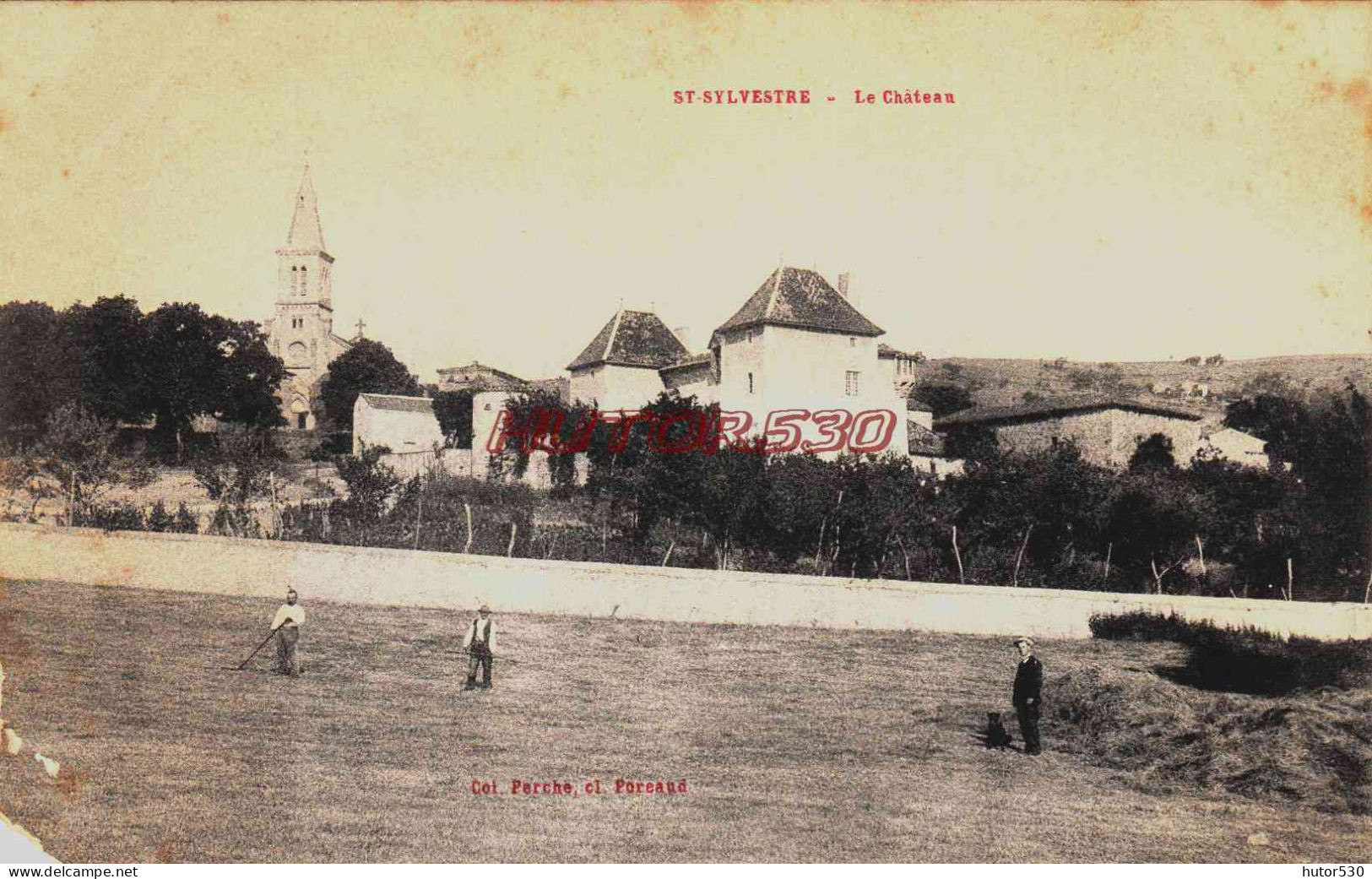 CPA SAINT SYLVESTRE - DANS LES CHAMPS ET LE CHATEAU - Autres & Non Classés