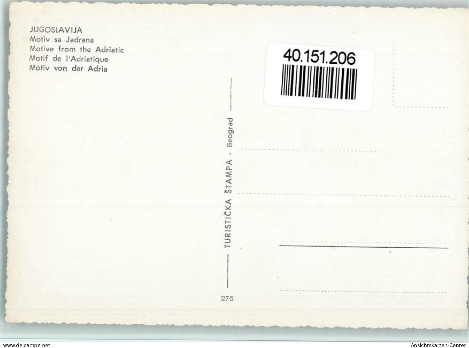 40151206 - Esel Esel An Der Jugoslawischen Adria - Otros & Sin Clasificación