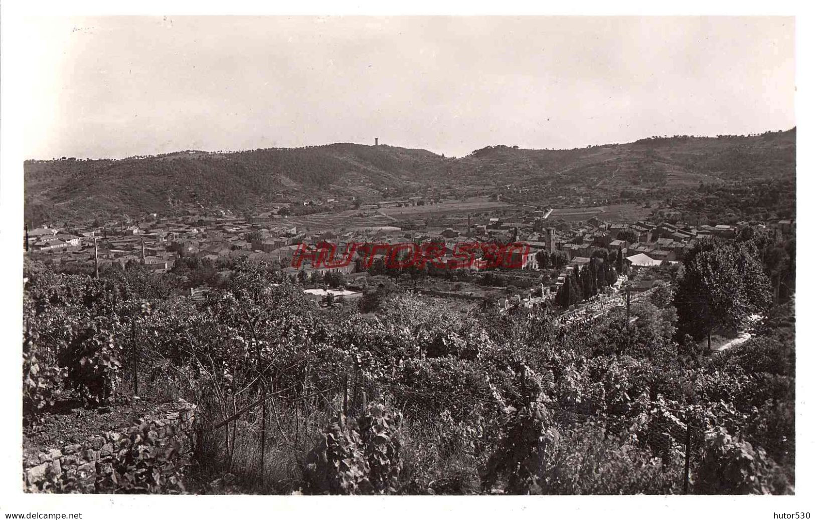 CPSM VALLAURIS - VUE D'ENSEMBLE - Vallauris