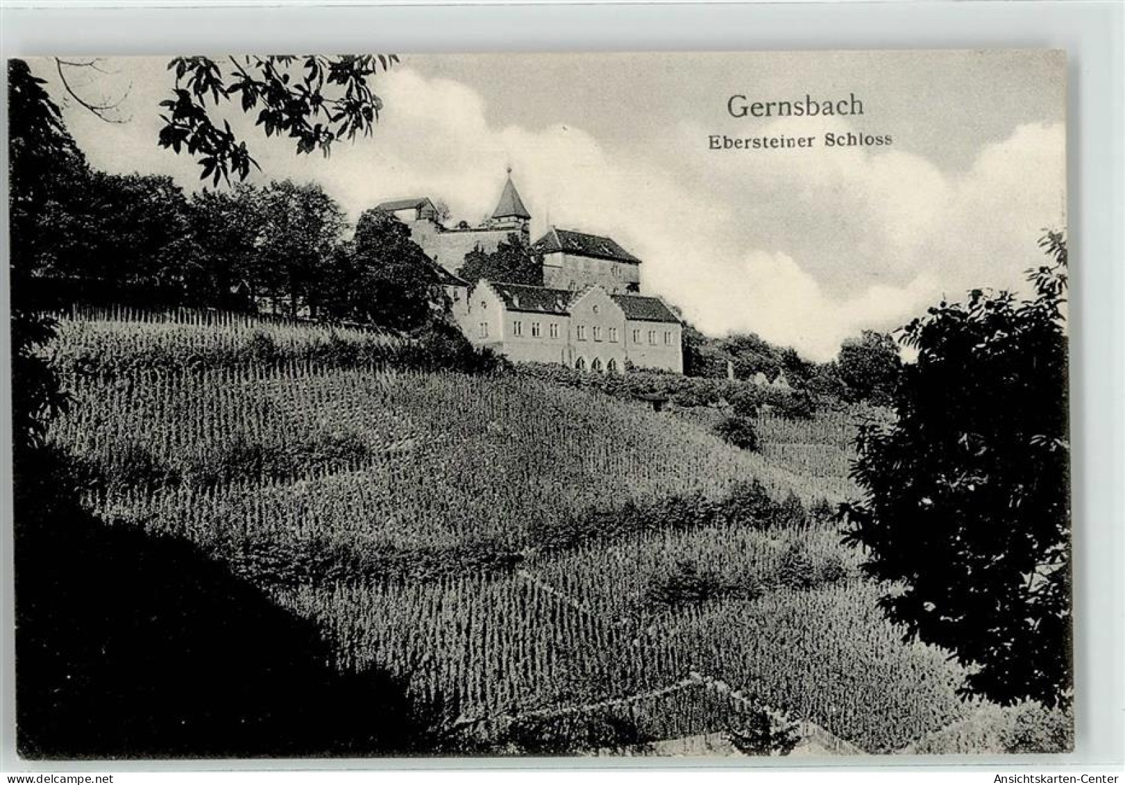 52053706 - Gernsbach - Gernsbach