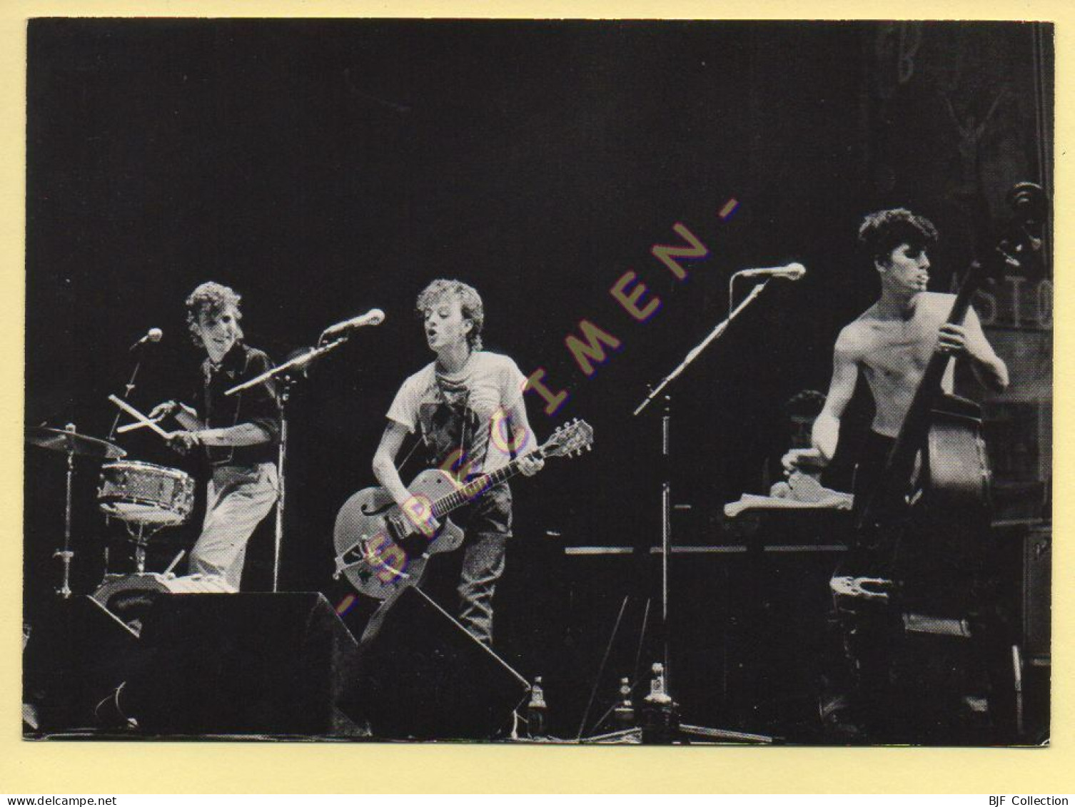 STRAY CATS – Carte Format 17 X 12 Cm (voir Scan Recto/verso) - Chanteurs & Musiciens