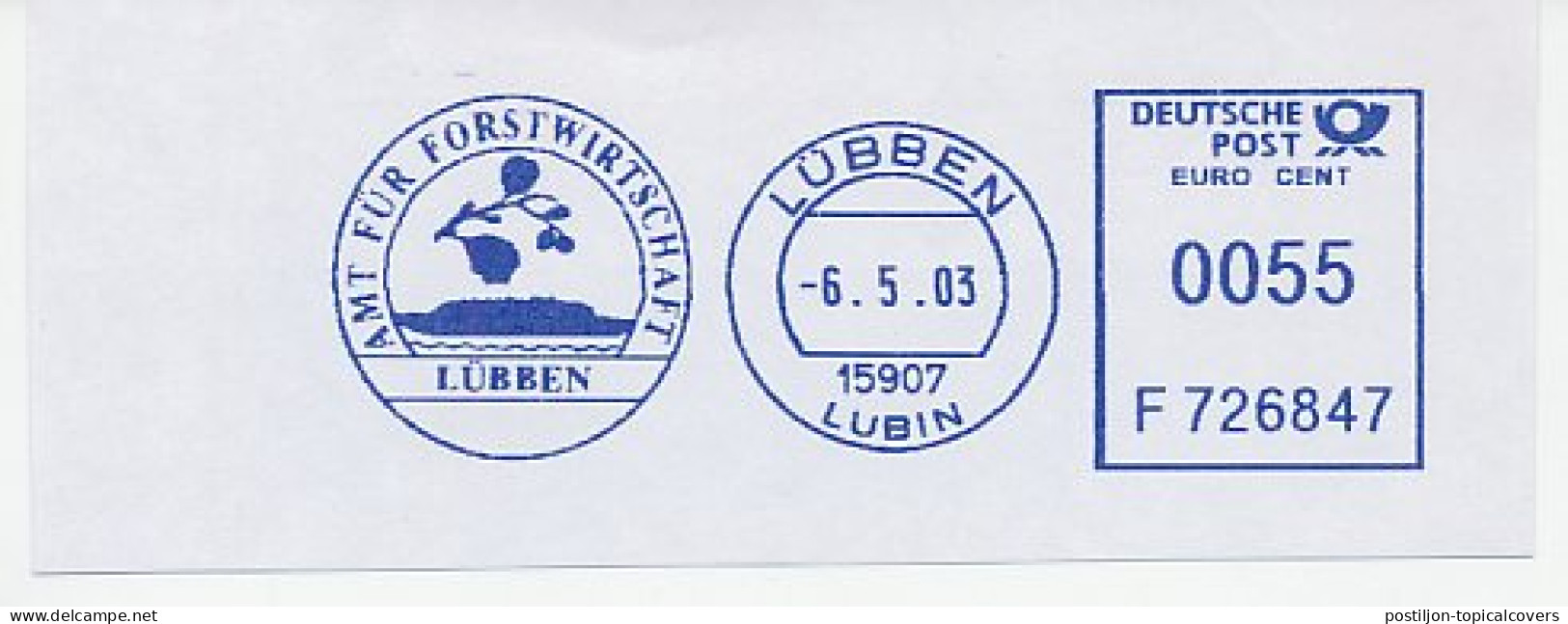 Meter Cut Germany 2003 Forestry - Lubben - Alberi