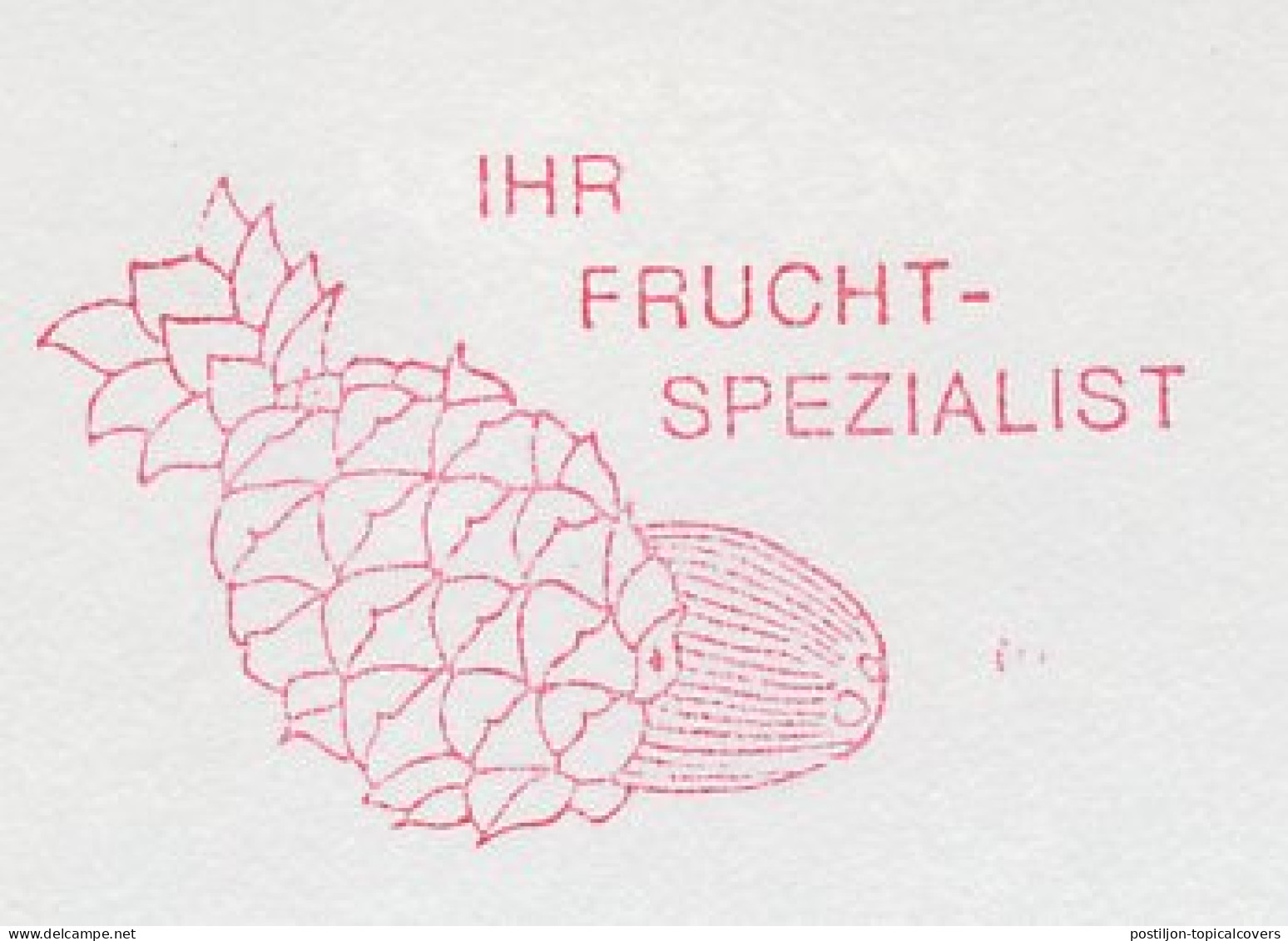 Meter Cut Netherlands 1991 Pineapple - Coconut - Frutas