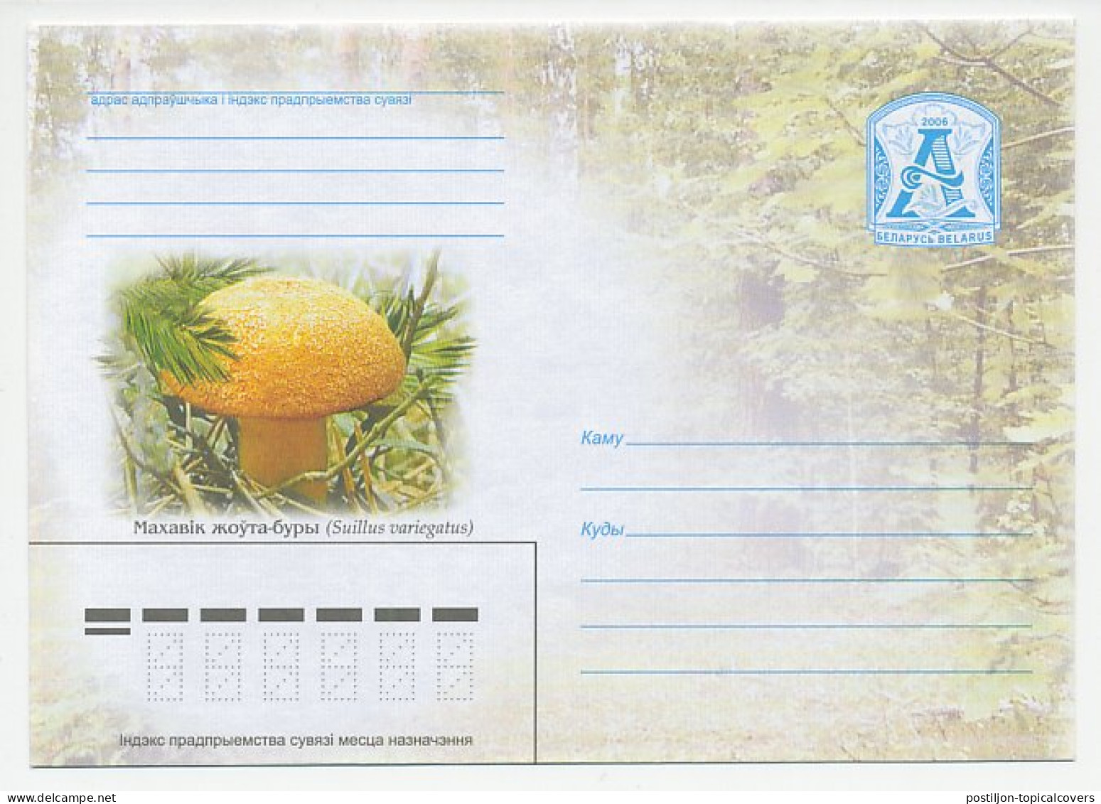 Postal Stationery Belarus 2006 Mushroom - Mushrooms