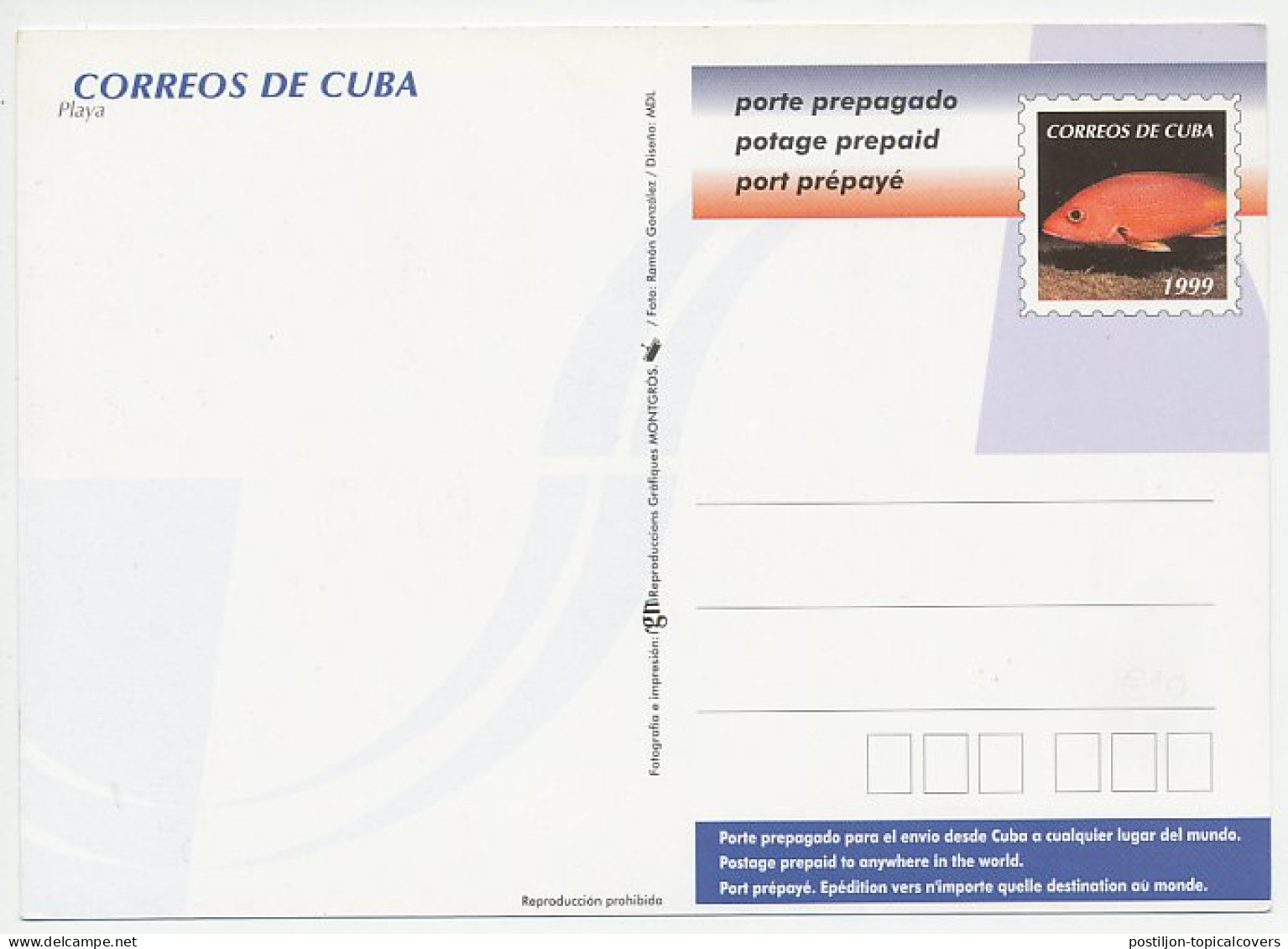 Postal Stationery Cuba 1999 Palm Tree - Arbres