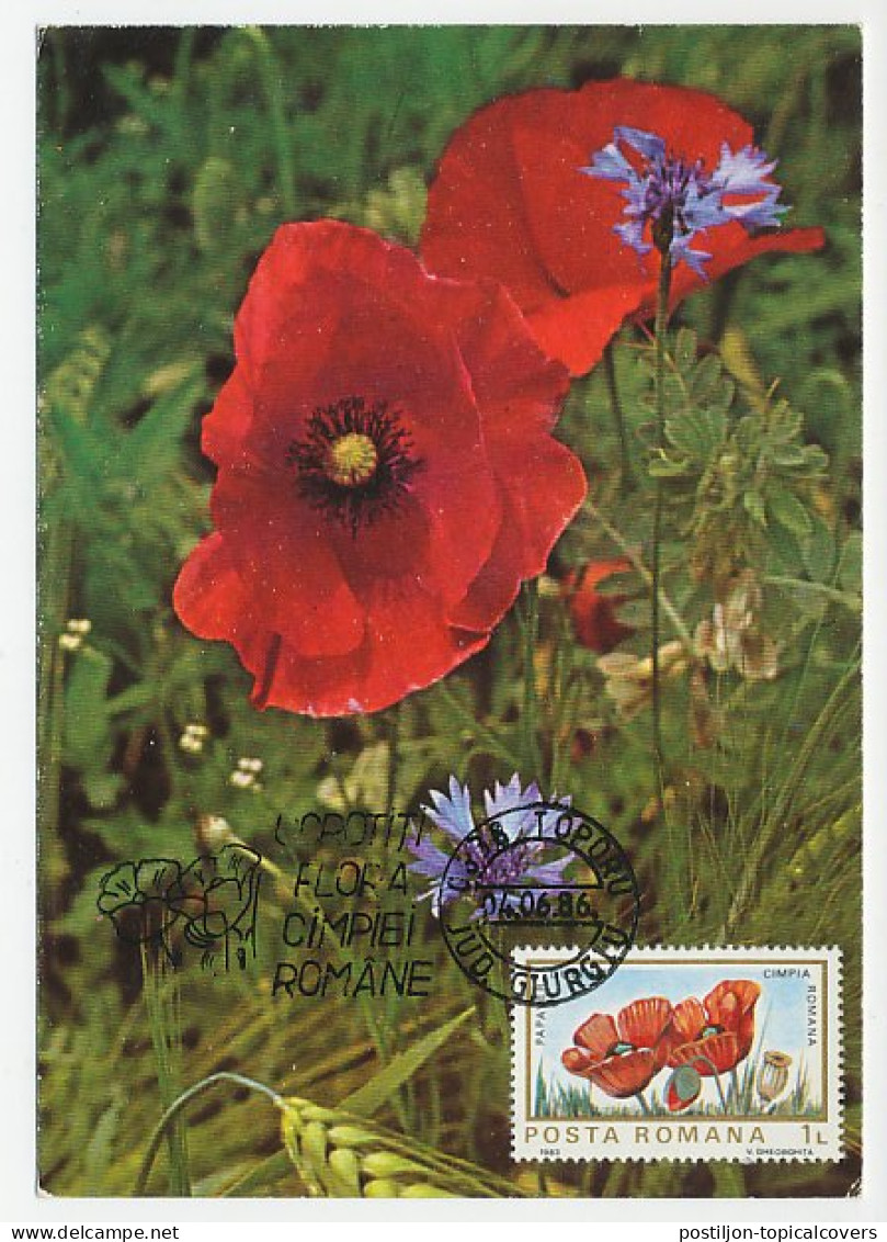 Maximum Card Romania 1986 Flower - Poppy - Andere & Zonder Classificatie