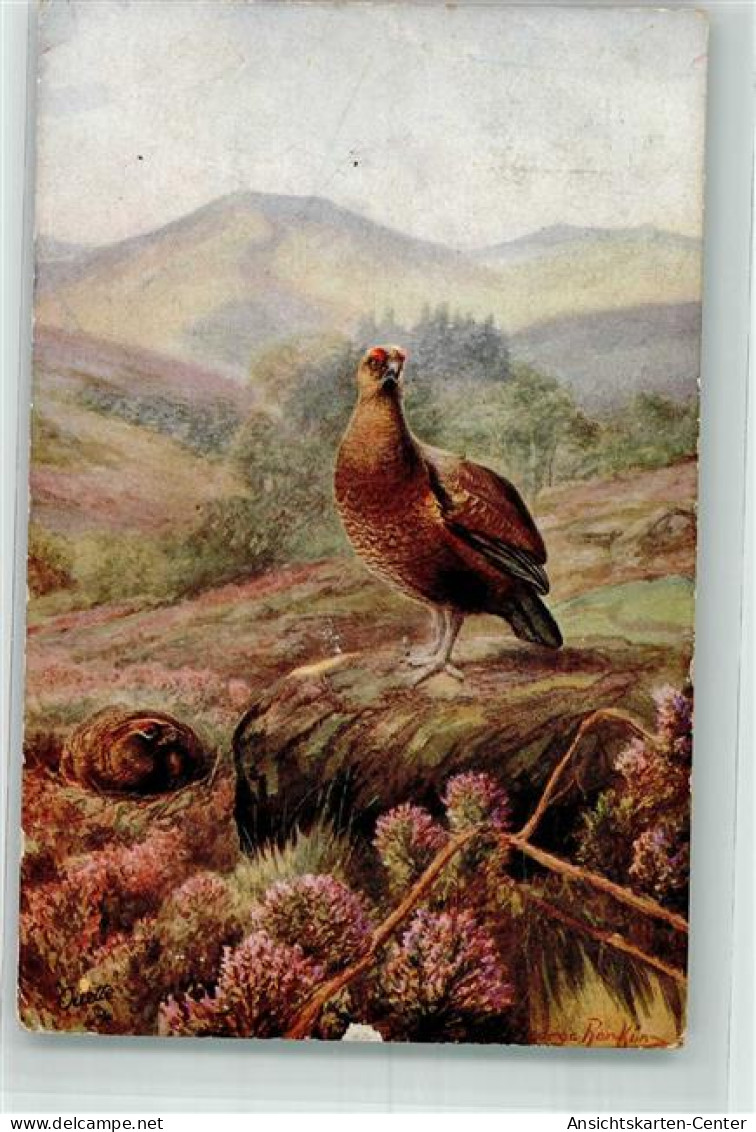 39689806 - Auerhahn Weibchen Tucks Serie Game Birds Serie II 8782 - Andere & Zonder Classificatie