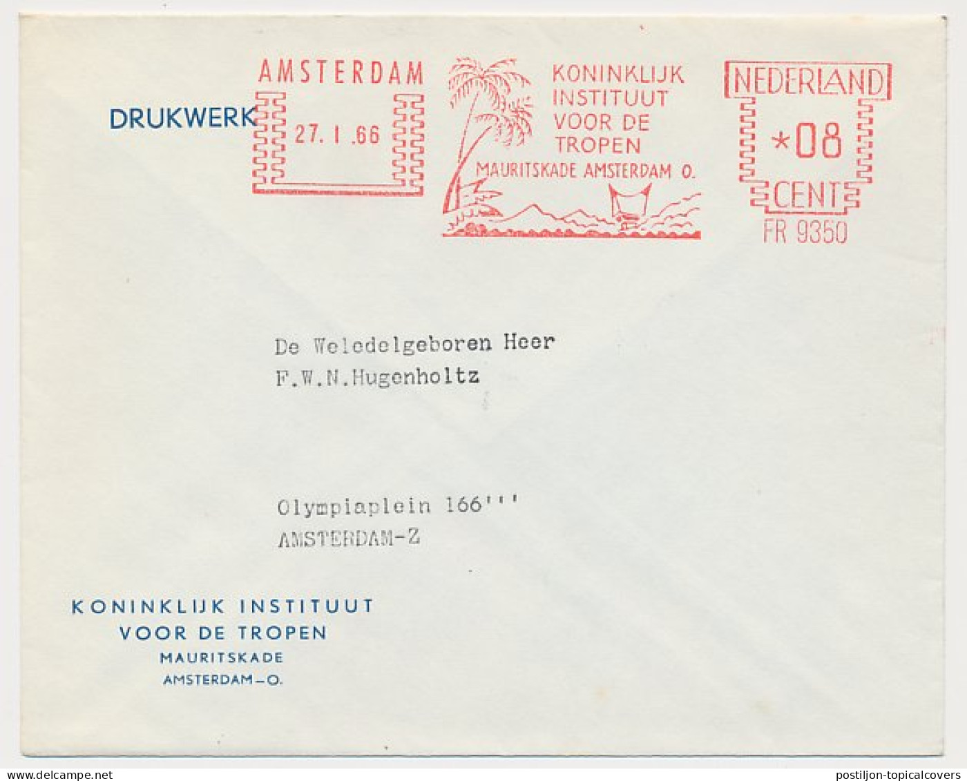Meter Cover Netherlands 1966 - FR 9350 Royal Institute For The Tropics - Palm Tree - Árboles