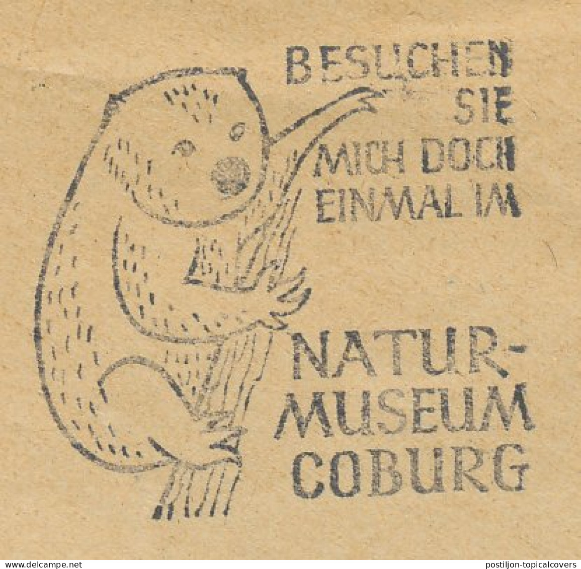 Cover / Postmark Germany 1976 Koala Bear - Nature Museum Coburg - Autres & Non Classés