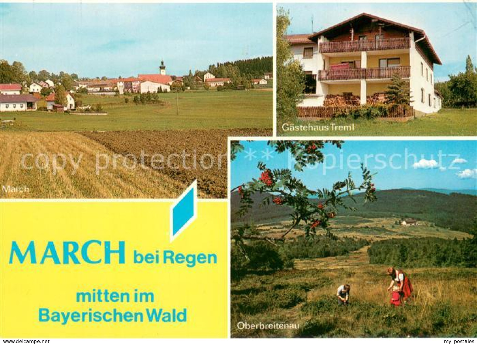 73671893 March Niederbayern Ortsansicht Gaestehaus Treml Oberbreitenau March Nie - Regen