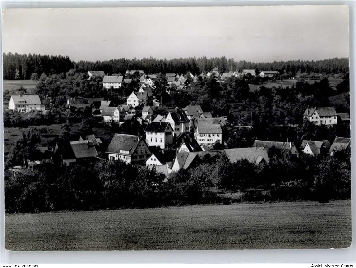 51532606 - Untermusbach - Freudenstadt