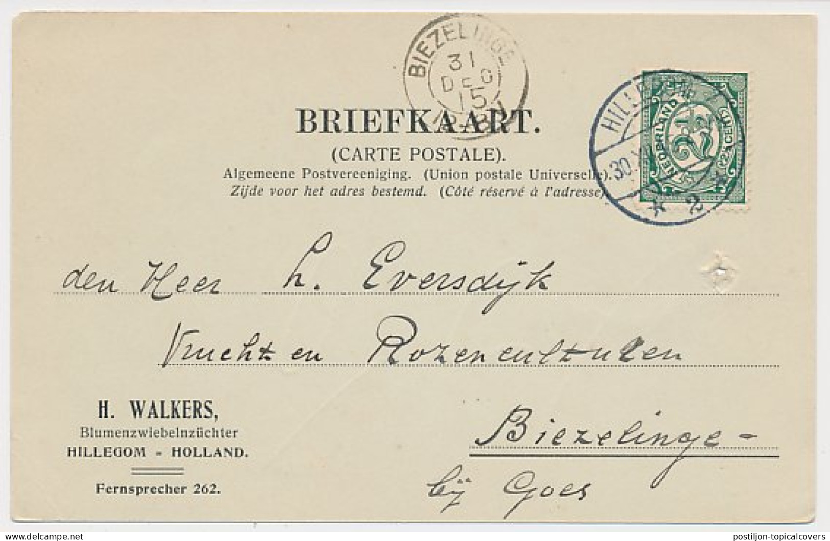 Firma Briefkaart Hillegom 1915 - Bloembollen - Unclassified