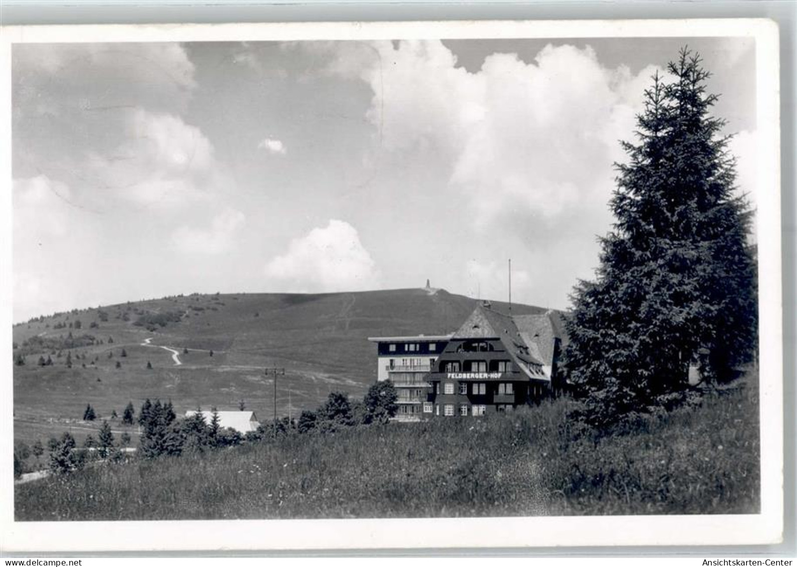 51660206 - Feldberg , Schwarzwald - Feldberg