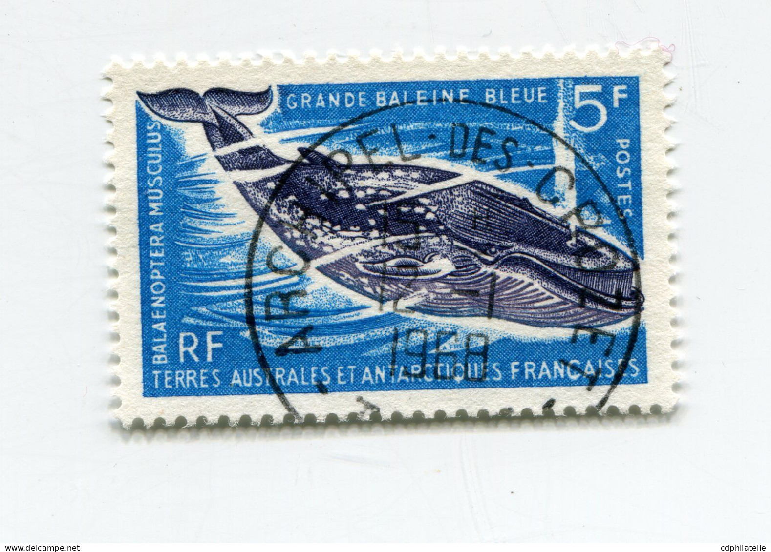 T. A.A. F. N°22 O GRANDE BALEINE BLEUE - Used Stamps