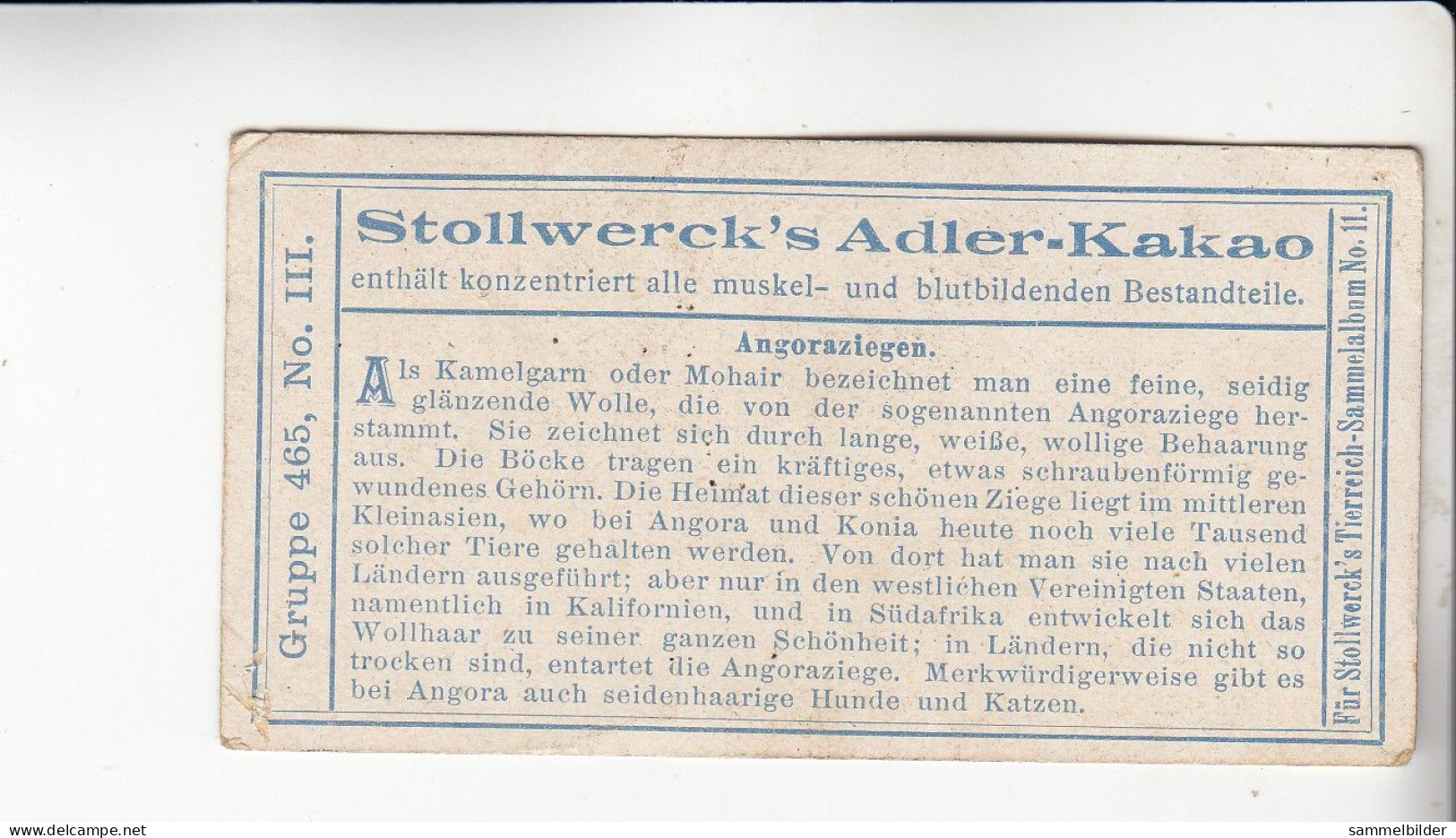 Stollwerck Album No 11 Ziegen Angoraziegen  Grp 465 #3 Von 1910 - Stollwerck