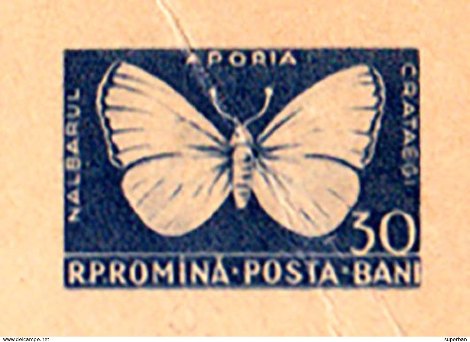 ROMANIA ~ 1960 : CARTE POSTALA / STATIONERY POSTCARD : THE FALL WEBWORM / HYPHANTRIA CUNEA / BUTTERFLY - RRR ! (an657) - Postwaardestukken