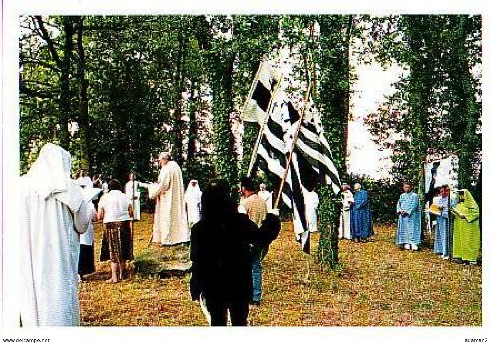 Bannalec   G1           Le Gorsedd, Cérémonie Druidique - Bannalec