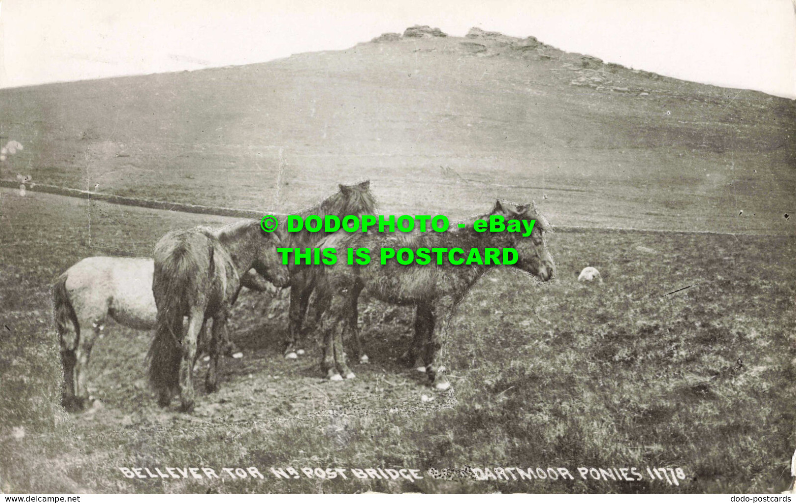 R562625 Bellever Tor Nr. Post Bridge. Dartmoor Ponies. 11778. 1937. RP. Chapman - Monde