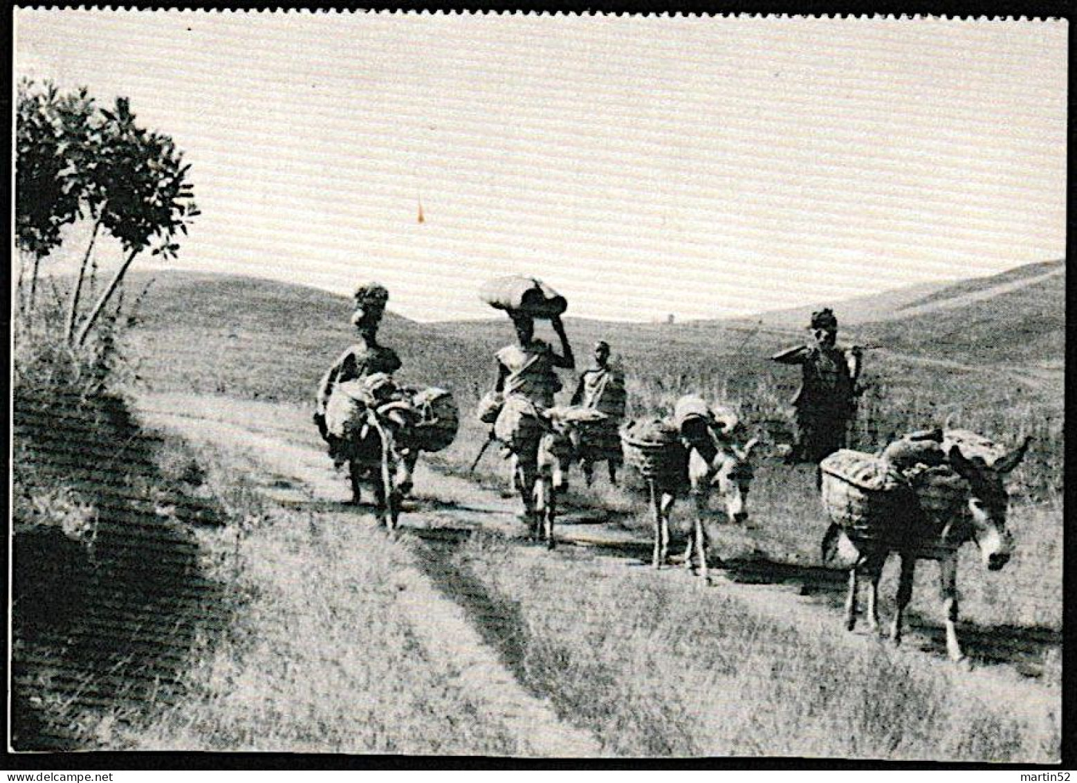 Schweiz Suisse 1941: Haussa-Karawane Im Grasland Von KAMERUN (Esel / Donkeys) Zu 253 Mi 398 Yv 370 Mit ⊙ BASEL 2.IX.1941 - Burros Y Asnos