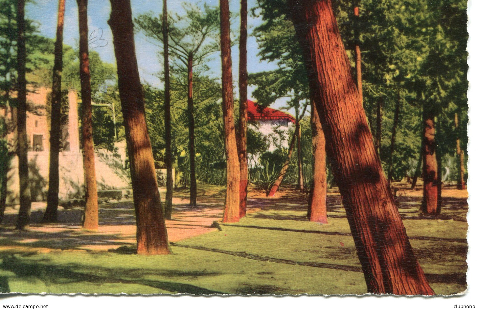 CPSM -  LA FRANQUI-PLAGE - UN COIN DU PARC - Autres & Non Classés