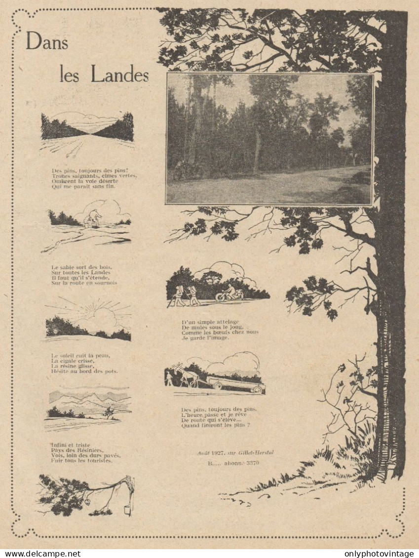 Dans Les LANDES - Pubblicità D'epoca - 1930 Old Advertising - Publicidad
