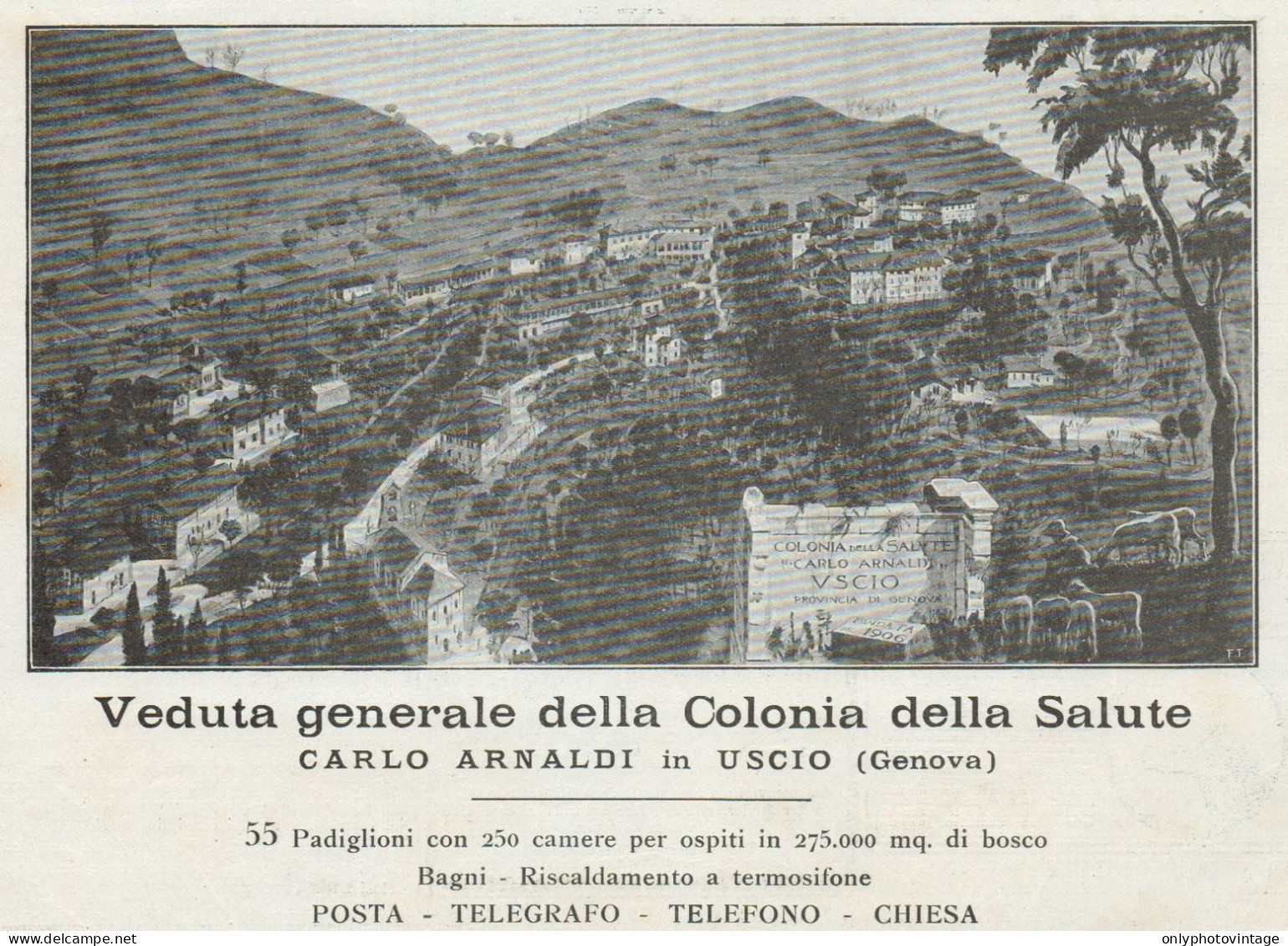 Colonia Della Salute Carlo ARNALDI - Uscio - Pubblicità D'epoca - 1924 Ad - Publicités