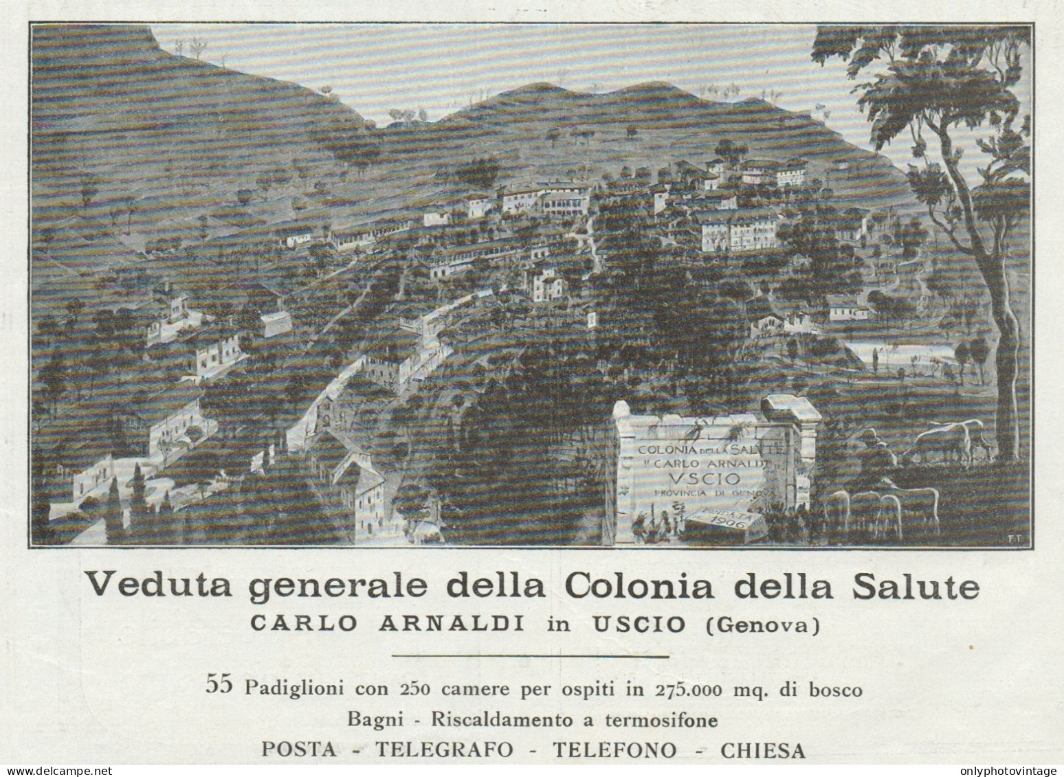 Colonia Della Salute Carlo ARNALDI - Uscio - Pubblicità D'epoca - 1924 Ad - Publicités