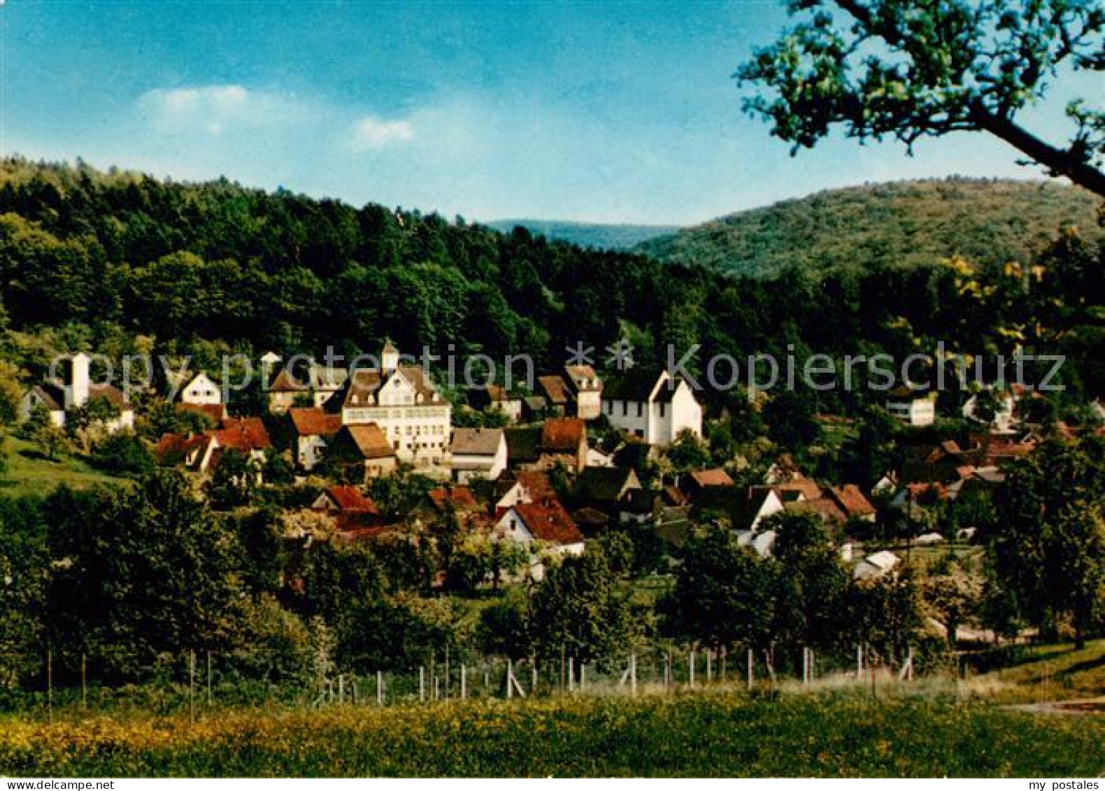 73671512 Waldhilsbach Gasthaus Forellenbach Panorama Waldhilsbach - Neckargemuend