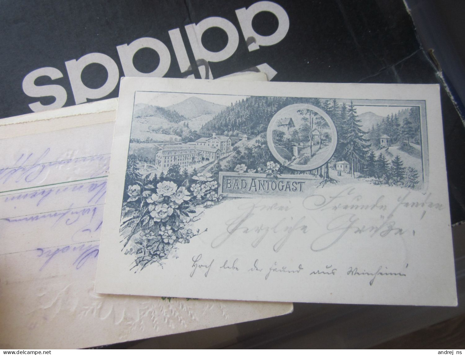 Bad Antogast  Old Postcards - Other & Unclassified