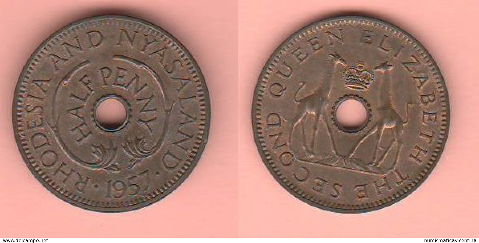 1/2 Penny 1957 Rhodesia & Nyasaland HALF PENNY 1957 British Administration - Otros & Sin Clasificación