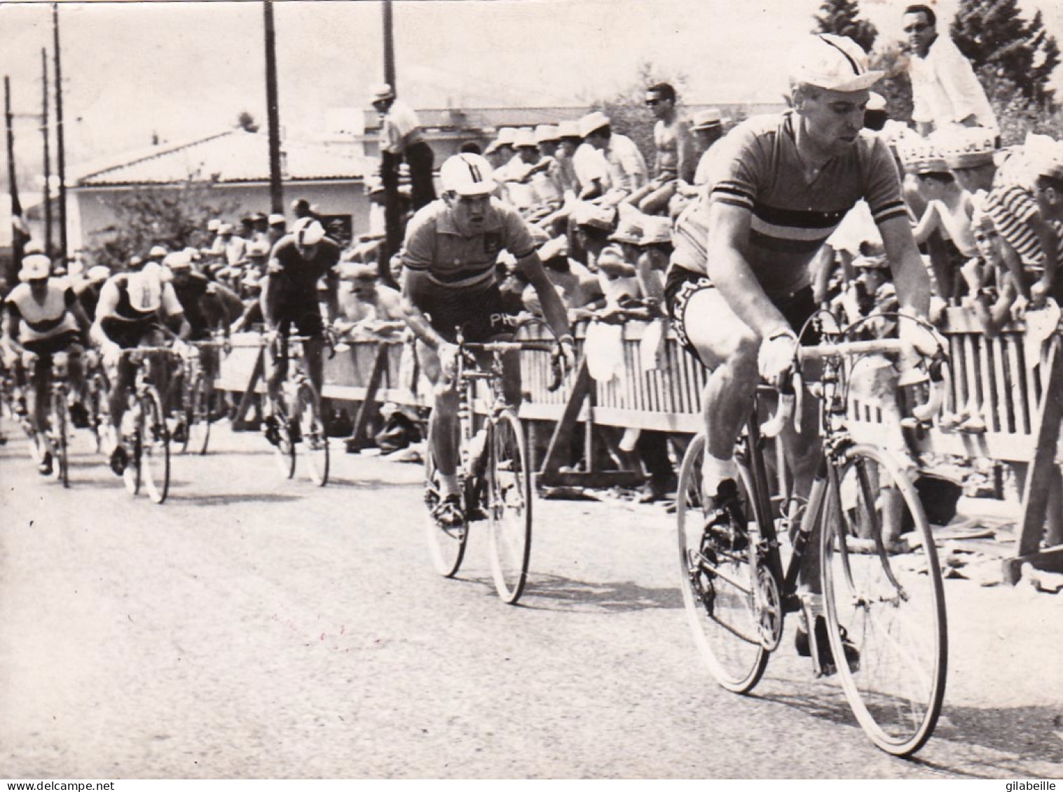 Photo Originale  - Cyclisme- VAN LOOY - Championnat Du Monde A Salo 1962  - Format 17.5 X 13.0 Cm - Radsport